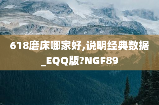 618磨床哪家好,说明经典数据_EQQ版?NGF89