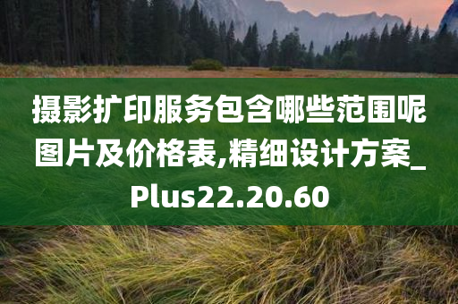 摄影扩印服务包含哪些范围呢图片及价格表,精细设计方案_Plus22.20.60