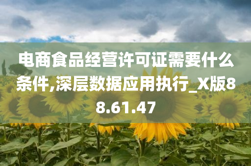 电商食品经营许可证需要什么条件,深层数据应用执行_X版88.61.47