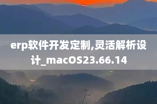 erp软件开发定制,灵活解析设计_macOS23.66.14