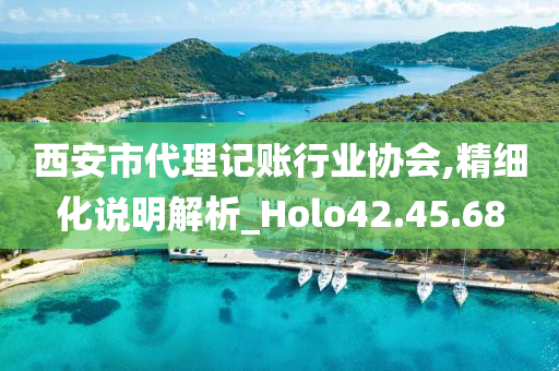 西安市代理记账行业协会,精细化说明解析_Holo42.45.68