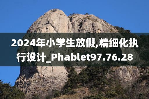 2024年小学生放假,精细化执行设计_Phablet97.76.28