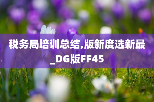 税务局培训总结,版新度选新最_DG版FF45