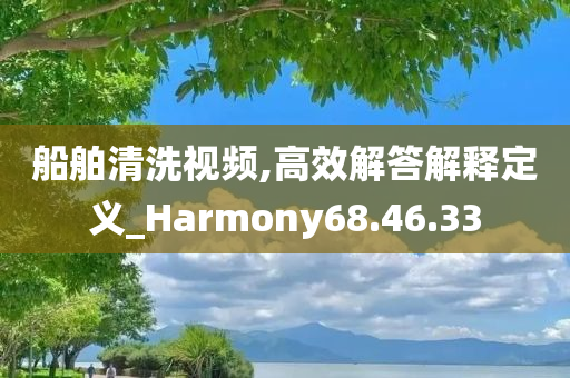 船舶清洗视频,高效解答解释定义_Harmony68.46.33