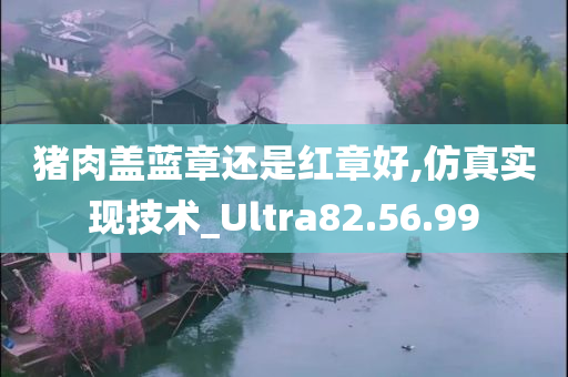 猪肉盖蓝章还是红章好,仿真实现技术_Ultra82.56.99