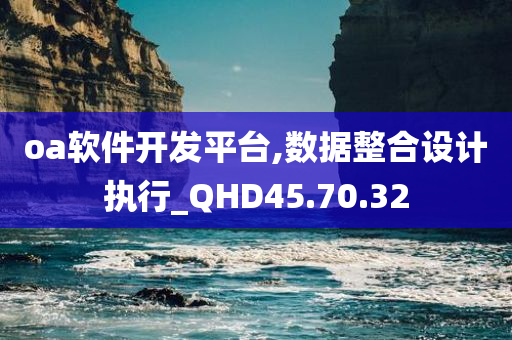 oa软件开发平台,数据整合设计执行_QHD45.70.32