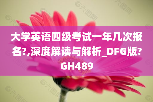 大学英语四级考试一年几次报名?,深度解读与解析_DFG版?GH489