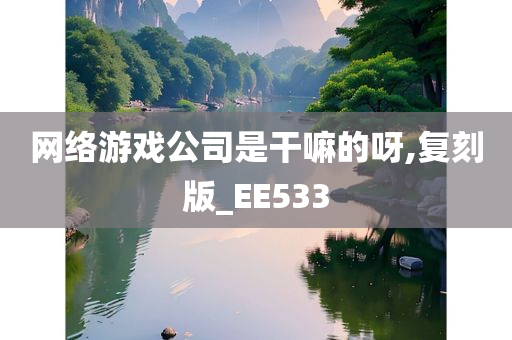 网络游戏公司是干嘛的呀,复刻版_EE533