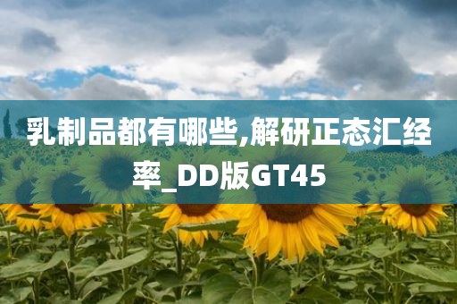 乳制品都有哪些,解研正态汇经率_DD版GT45