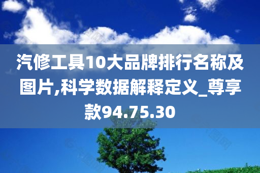 汽修工具10大品牌排行名称及图片,科学数据解释定义_尊享款94.75.30