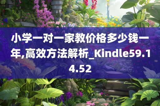 小学一对一家教价格多少钱一年,高效方法解析_Kindle59.14.52