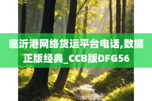 临沂港网络货运平台电话,数据正版经典_CCB版DFG56