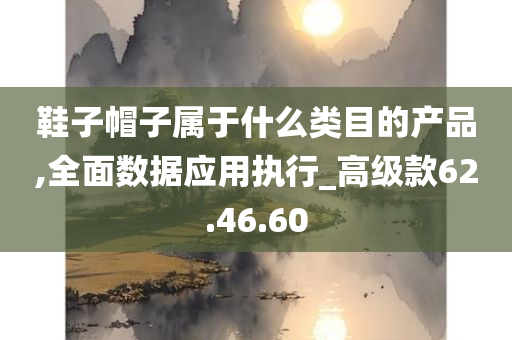 鞋子帽子属于什么类目的产品,全面数据应用执行_高级款62.46.60