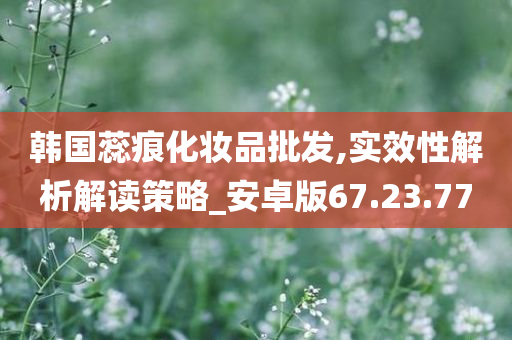 韩国蕊痕化妆品批发,实效性解析解读策略_安卓版67.23.77