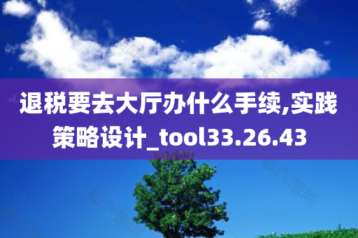 退税要去大厅办什么手续,实践策略设计_tool33.26.43