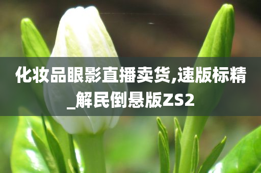 化妆品眼影直播卖货,速版标精_解民倒悬版ZS2