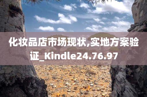 化妆品店市场现状,实地方案验证_Kindle24.76.97