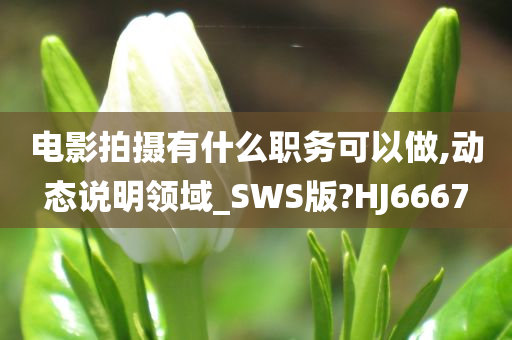 电影拍摄有什么职务可以做,动态说明领域_SWS版?HJ6667