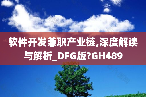 软件开发兼职产业链,深度解读与解析_DFG版?GH489