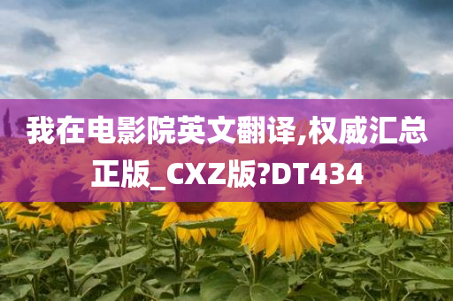 我在电影院英文翻译,权威汇总正版_CXZ版?DT434