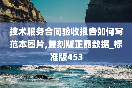 技术服务合同验收报告如何写范本图片,复刻版正品数据_标准版453