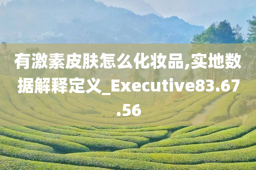 有激素皮肤怎么化妆品,实地数据解释定义_Executive83.67.56