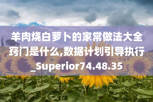 羊肉烧白萝卜的家常做法大全窍门是什么,数据计划引导执行_Superior74.48.35