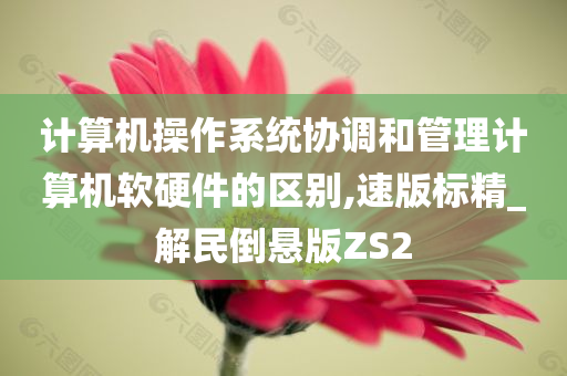 计算机操作系统协调和管理计算机软硬件的区别,速版标精_解民倒悬版ZS2