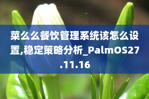 菜么么餐饮管理系统该怎么设置,稳定策略分析_PalmOS27.11.16