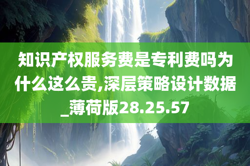 知识产权服务费是专利费吗为什么这么贵,深层策略设计数据_薄荷版28.25.57