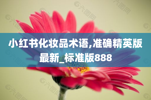 小红书化妆品术语,准确精英版最新_标准版888