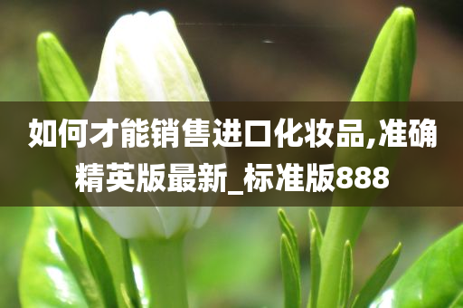 如何才能销售进口化妆品,准确精英版最新_标准版888