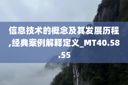 信息技术的概念及其发展历程,经典案例解释定义_MT40.58.55