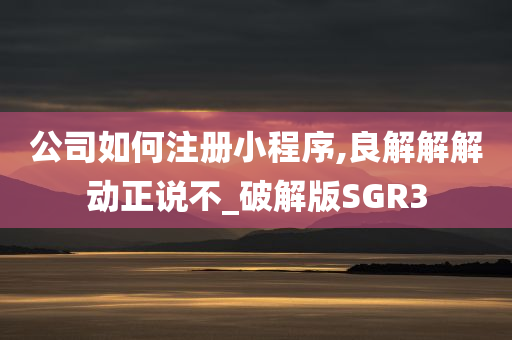 公司如何注册小程序,良解解解动正说不_破解版SGR3