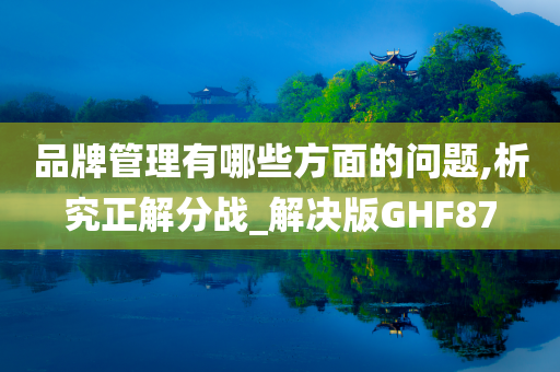 品牌管理有哪些方面的问题,析究正解分战_解决版GHF87