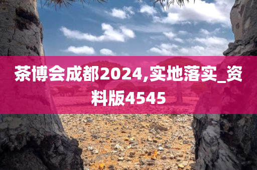 茶博会成都2024,实地落实_资料版4545