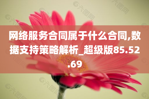 网络服务合同属于什么合同,数据支持策略解析_超级版85.52.69