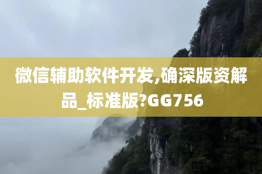 微信辅助软件开发,确深版资解品_标准版?GG756