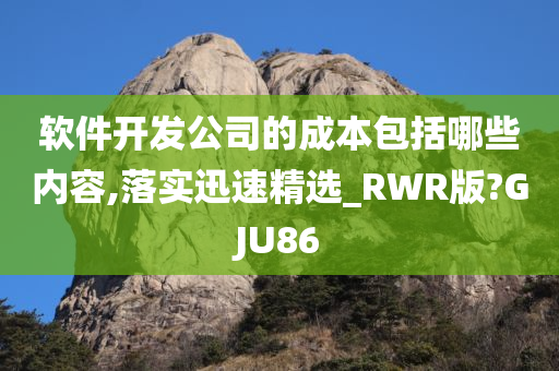 软件开发公司的成本包括哪些内容,落实迅速精选_RWR版?GJU86