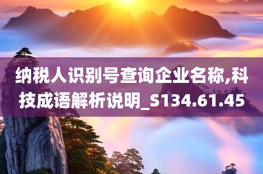 纳税人识别号查询企业名称,科技成语解析说明_S134.61.45