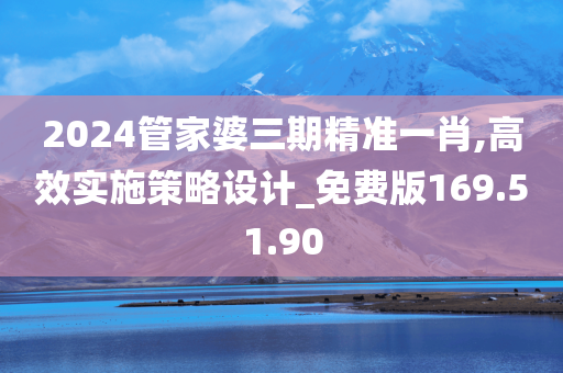 2024管家婆三期精准一肖,高效实施策略设计_免费版169.51.90