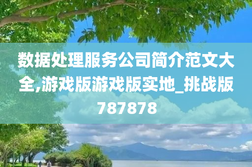 数据处理服务公司简介范文大全,游戏版游戏版实地_挑战版787878