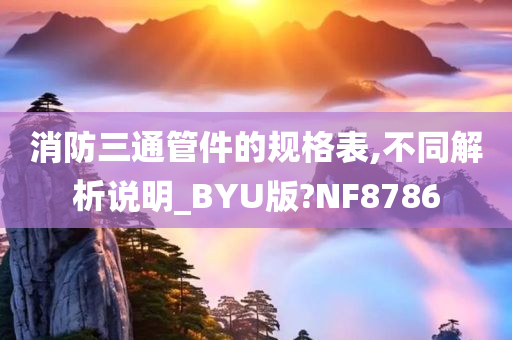 消防三通管件的规格表,不同解析说明_BYU版?NF8786