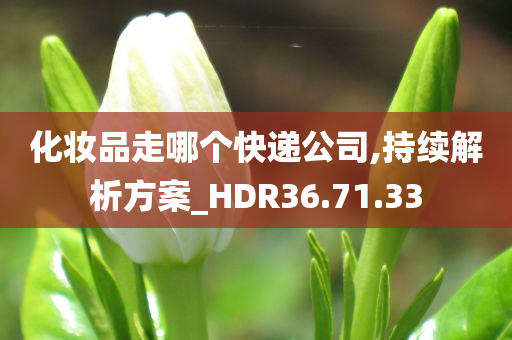 化妆品走哪个快递公司,持续解析方案_HDR36.71.33