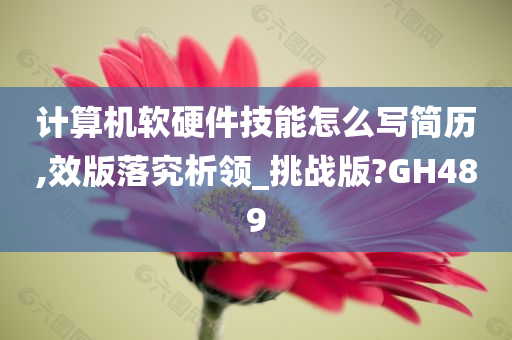 计算机软硬件技能怎么写简历,效版落究析领_挑战版?GH489