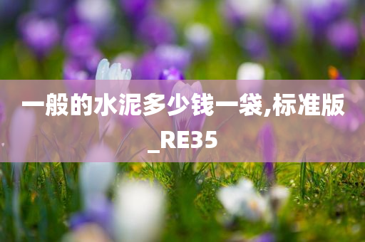 一般的水泥多少钱一袋,标准版_RE35