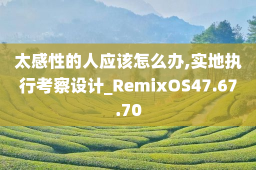 太感性的人应该怎么办,实地执行考察设计_RemixOS47.67.70