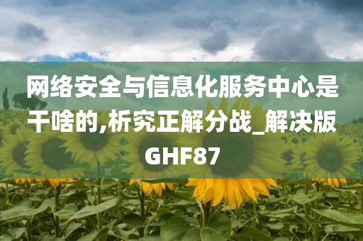 网络安全与信息化服务中心是干啥的,析究正解分战_解决版GHF87