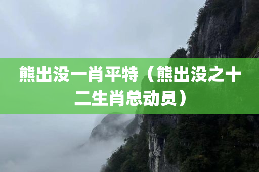 熊出没一肖平特（熊出没之十二生肖总动员）