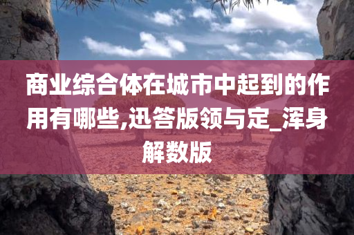 商业综合体在城市中起到的作用有哪些,迅答版领与定_浑身解数版